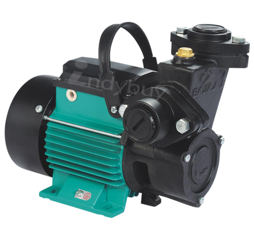 Bajaj Water Lifting Pump-Self Priming Pump